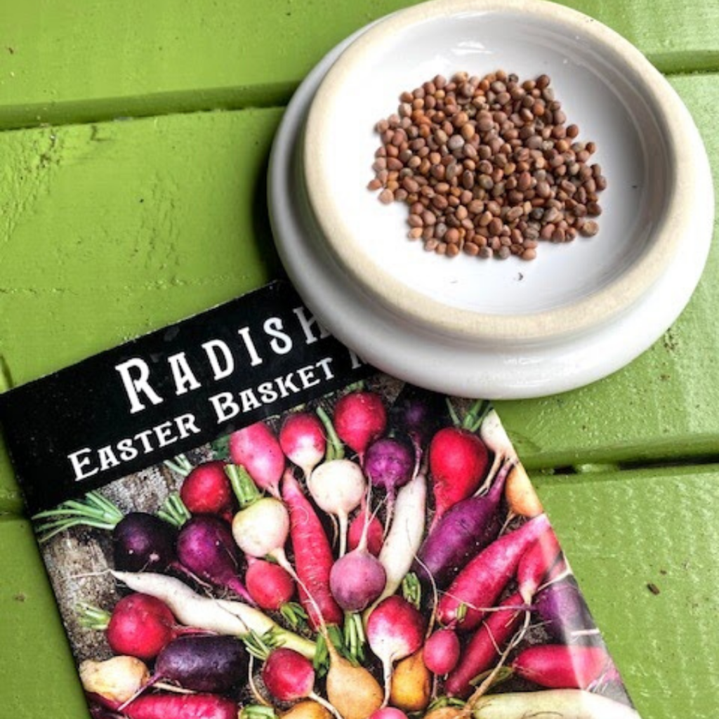 Radish seeds